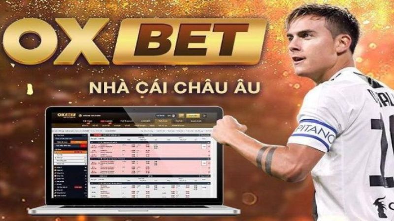 Quyền riêng tư Oxbet: Làm thế nào Oxbet bảo vệ dữ liệu người dùng 1 Tất cả mọi người đều được quyền hiểu về việc sử dụng thông tin cá nhân của mình
