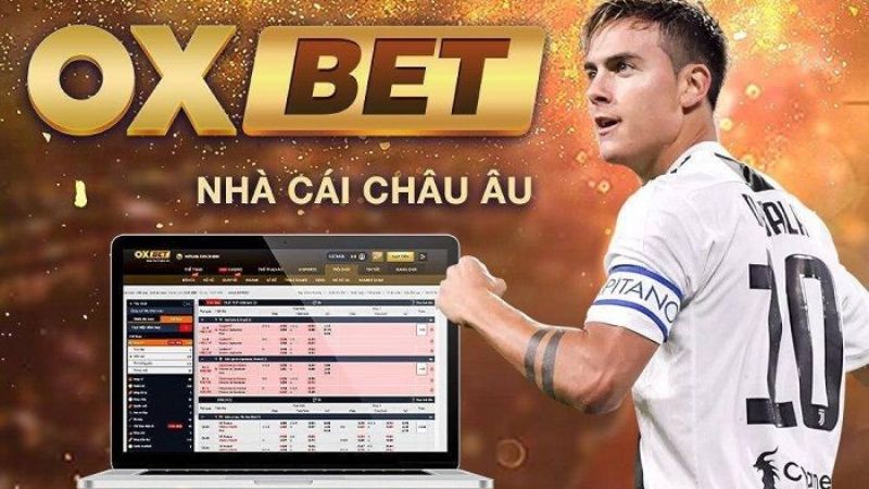 Hướng dẫn chọn trang cá cược uy tín tại Oxbet 2 Việc lựa chọn một trang cá cược uy tín tại Oxbet giúp bạn có một môi trường cá cược an toàn